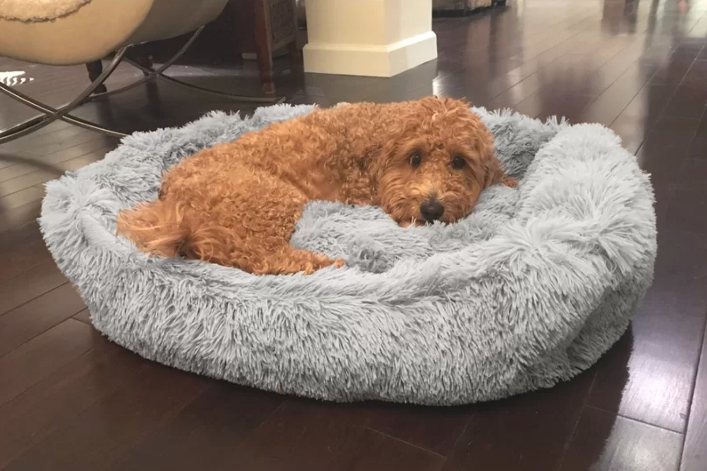 The donut bed in gray