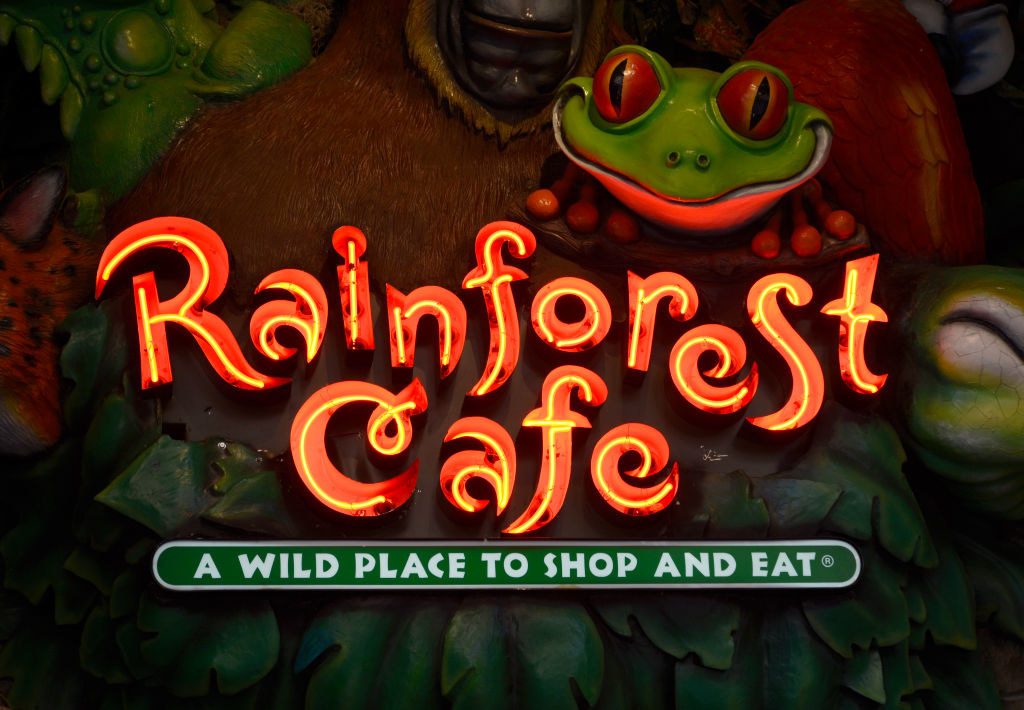 A close-up of the Rainforest Cafe sign with a frog statue above it.