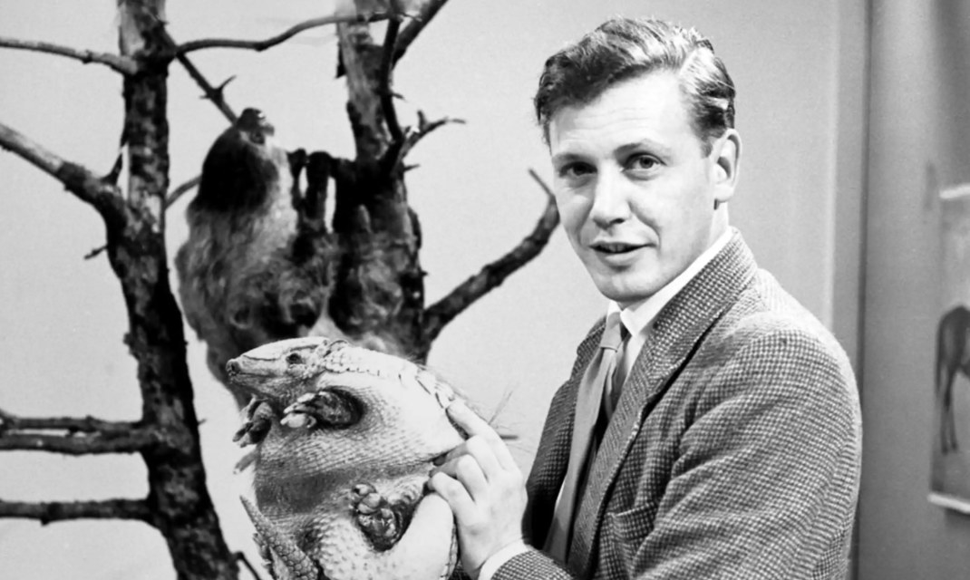 A young David Attenborough holding an armadillo as he addresses the camera.