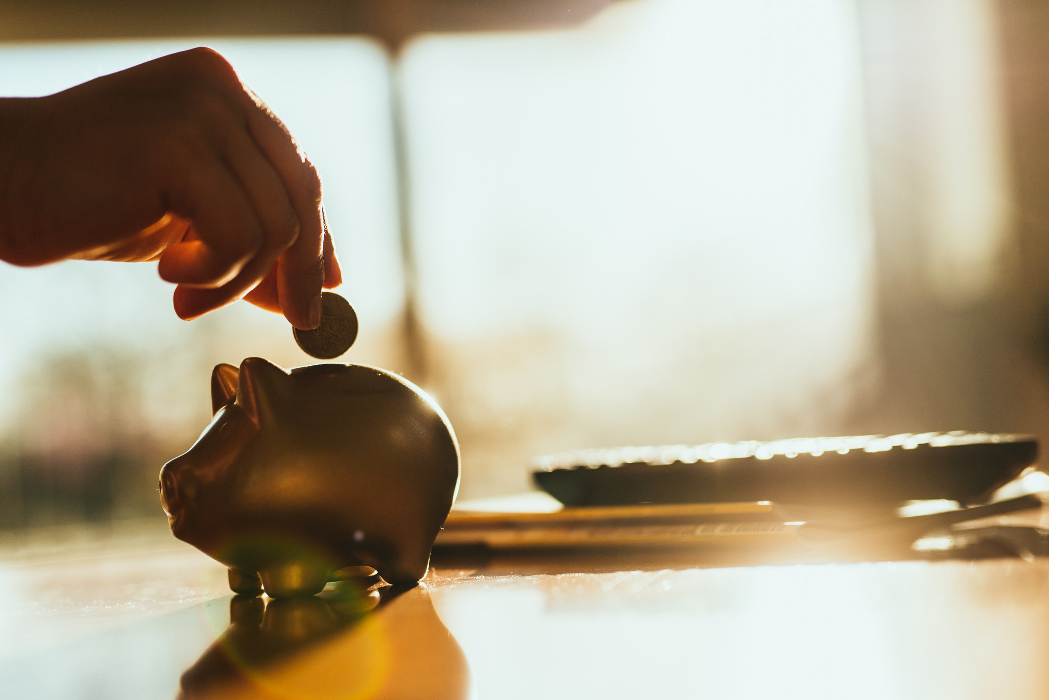 A hand putting a coin into a piggy bank