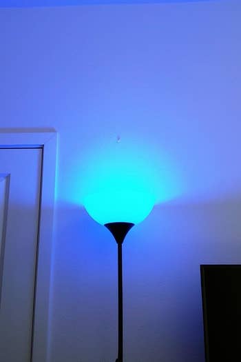 Reviewer photo showing lamp with blue light