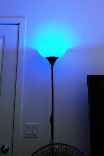 Reviewer photo showing lamp with blue light