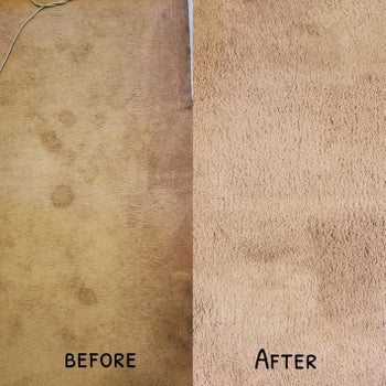 Before and after shot of stained toilet vs stain-free carpet