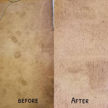 Before and after of reviewer's stained carpet vs stain-free carpet