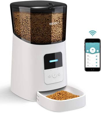 Product shot of automatic pet feeder next to smart phone