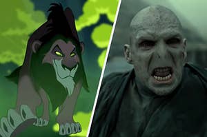 On the left, Scar from "The Lion King," and on the right, Voldemort from "Harry Potter"