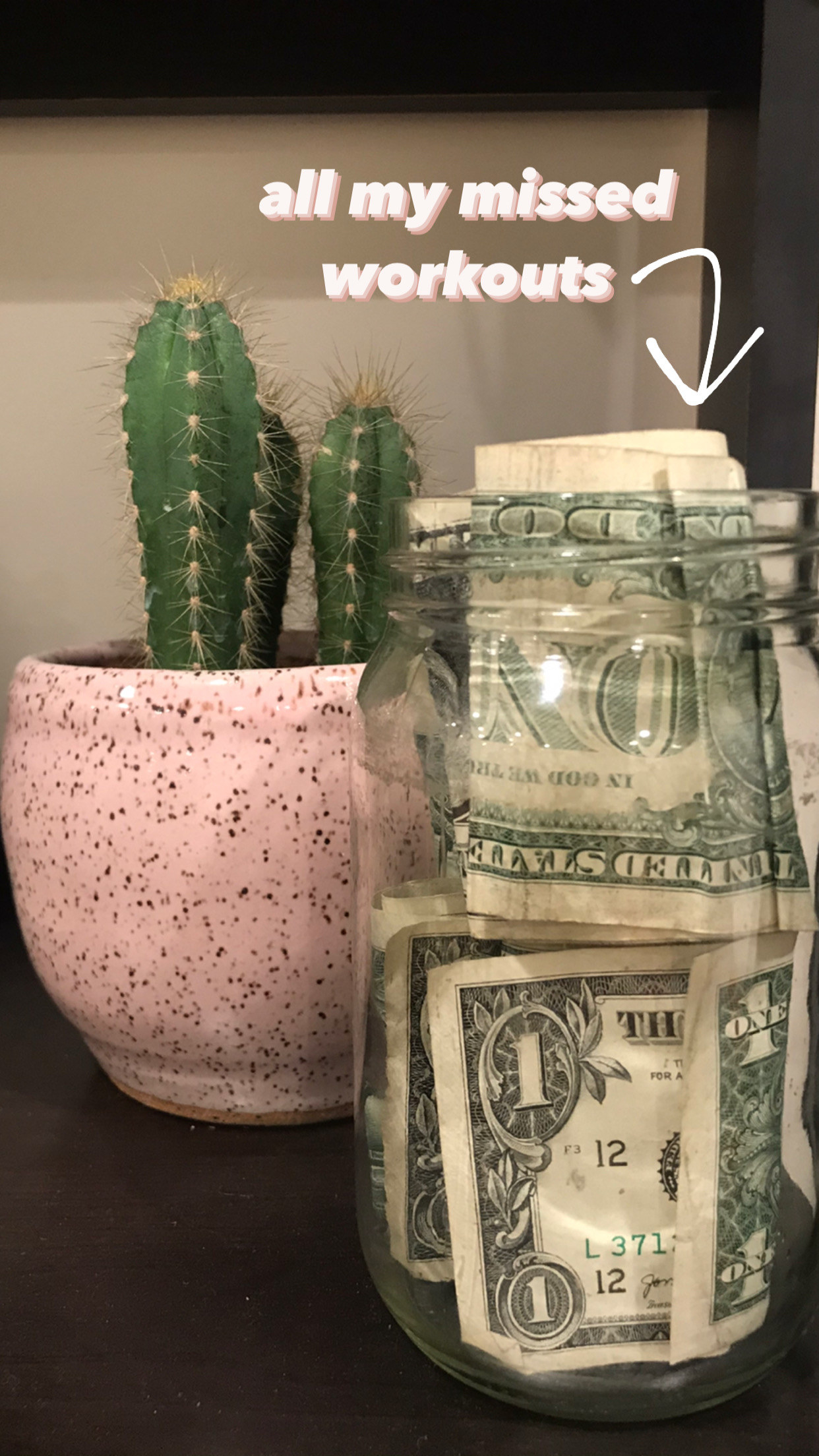 A clear jar full of $1 bills next to a cactus with text &quot;all my missed workouts&quot; with an arrow to the jar
