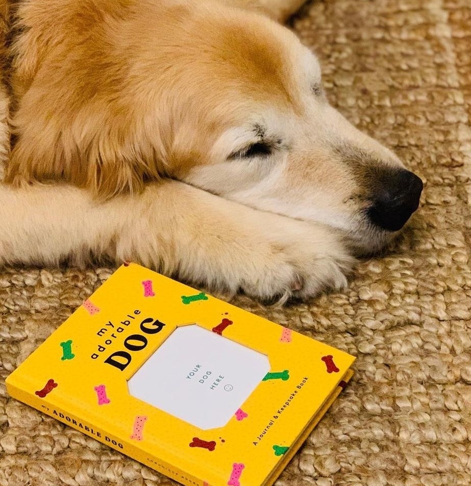 A dog lying next to the album