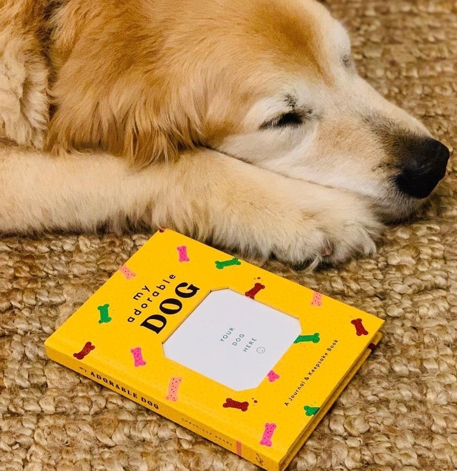 A dog lying next to the album