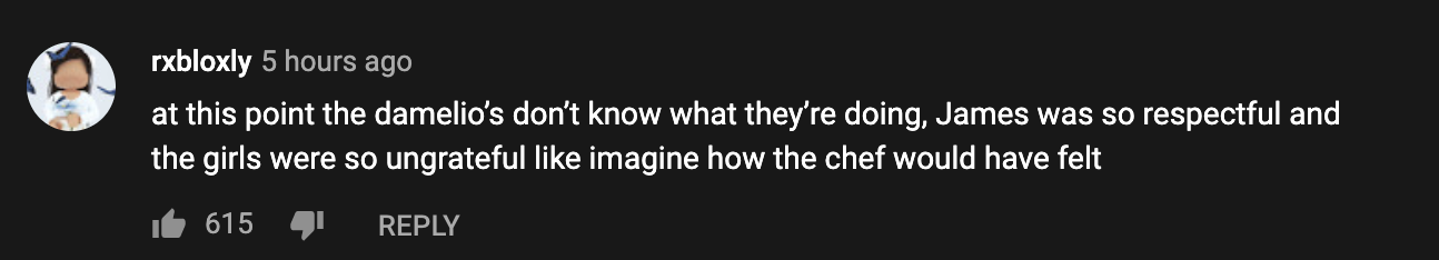 &quot;At this point the D&#x27;amelios don&#x27;t know what they&#x27;re doing. James was so respectful and the girls were so ungrateful like imagine how the chef would have felt&quot;