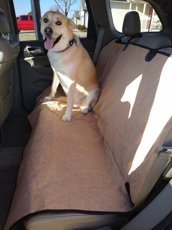 Reviewer&#x27;s dog sitting on seat cover