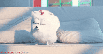 A white dog from The Secret Life of Pets