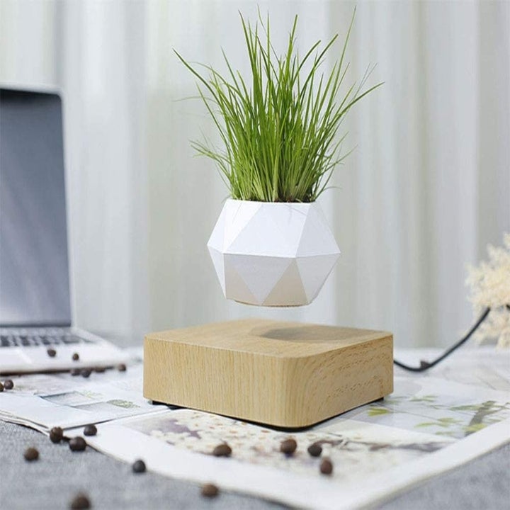 A geometric white planter filled with a grass pant that's levitating over a light-colored wooden base
