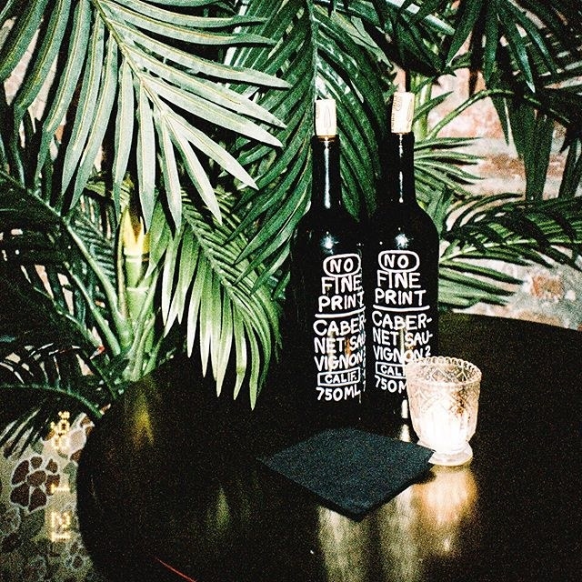 Two corked bottles of wine photographed in a dimly lit room underneath a large green plant