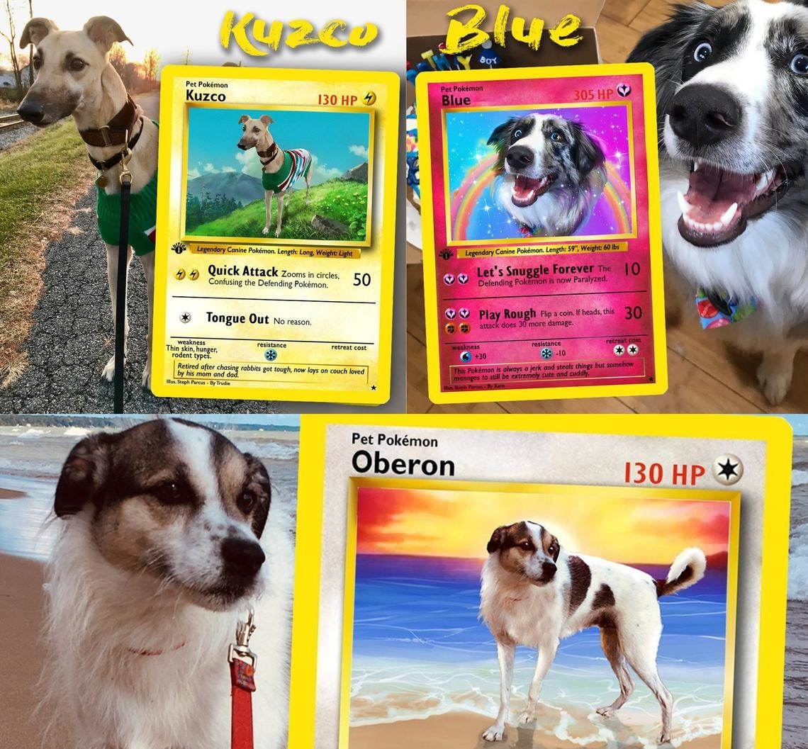 dogs on pokemon cards