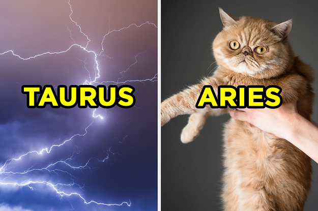 You Won't Believe Us, But We Can Guess Your Zodiac Sign Based On Your Answers To These 12 Random Questions