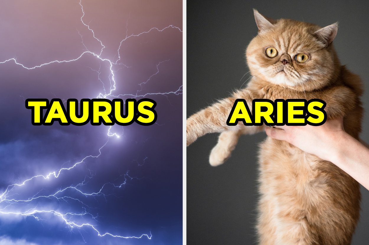 kul Uberettiget båd Can We Guess Your Zodiac Sign Based On Answers Quiz