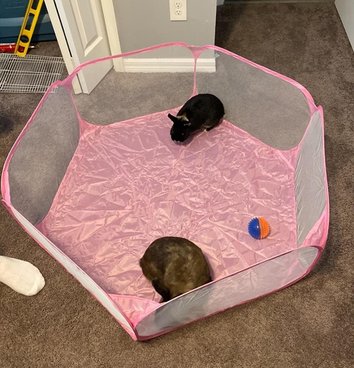 Reviewer image of bunnies inside waterproof playpen