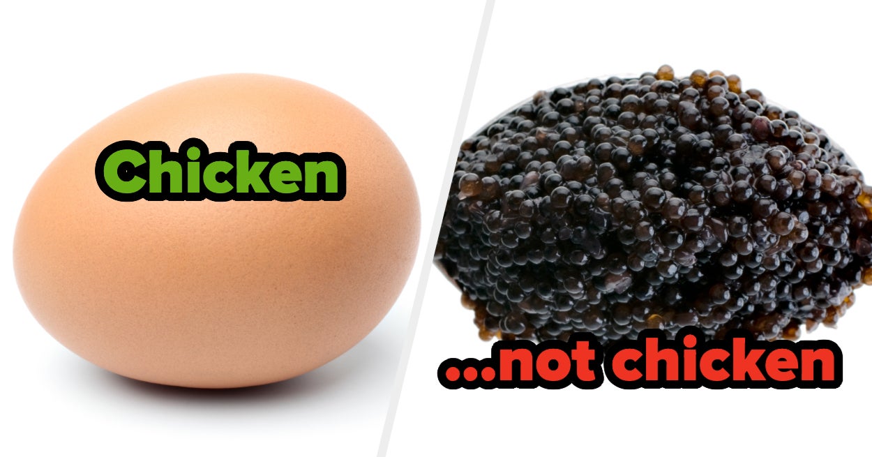 Match The Animal To The Egg Quiz