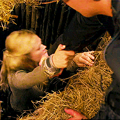 Bellamy saves Clarke from falling 