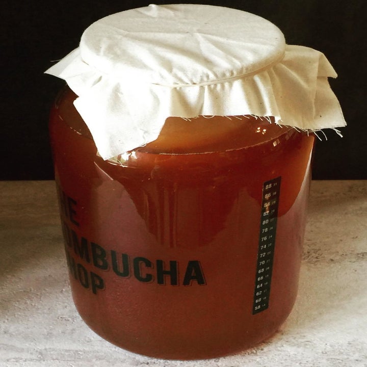 A reviewer's photo of their fermenting kombucha