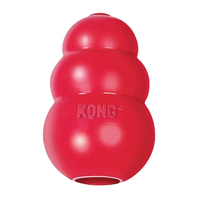 Red kong toy.