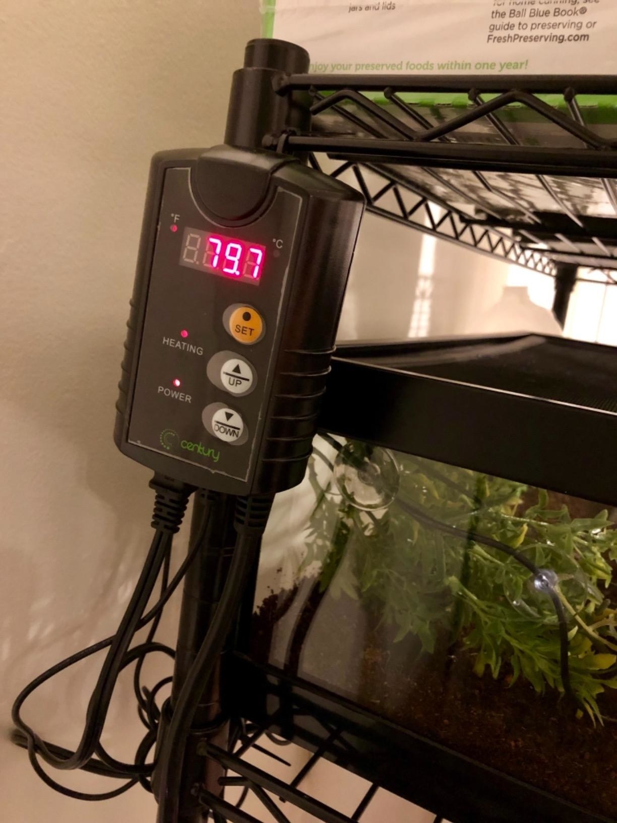 Reviewer image of product monitoring temperature of a reptile enclosure