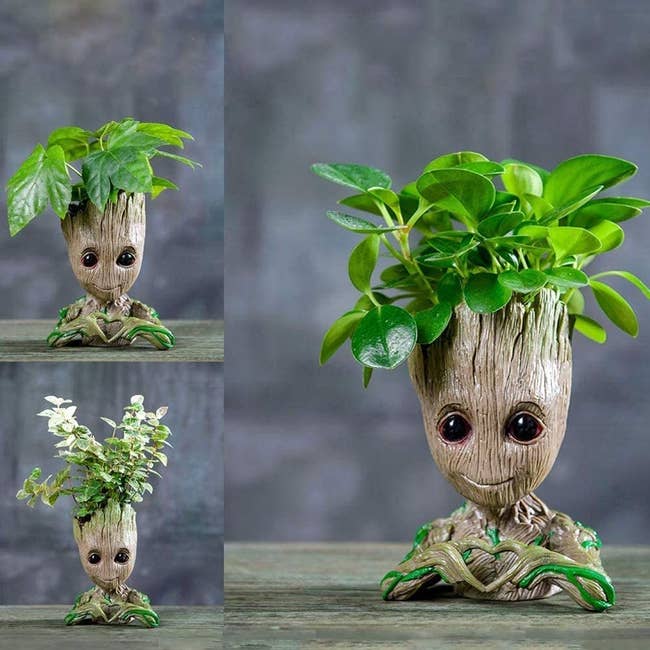 The baby Groot pot shown with three different types of plants