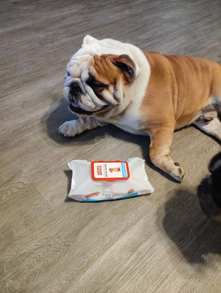 The puppy wipes with the reviewer&#x27;s dog