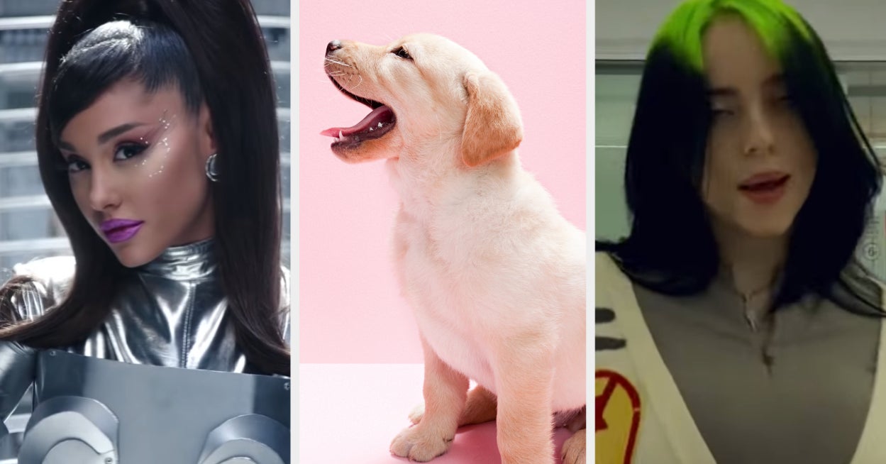 Are You More Ariana Grande Or Billie Eilish Quiz