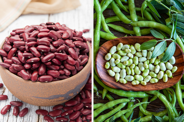 Bowls of kidney beans and lima beans
