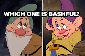 Which one is bashful?