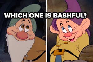 Which one is bashful?