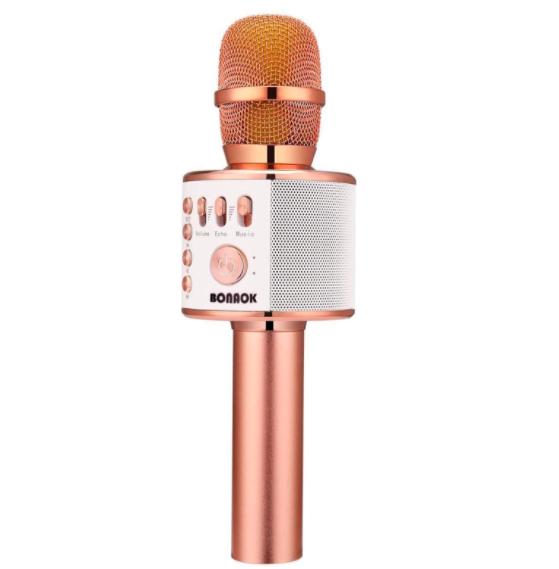 The pink karaoke microphone 