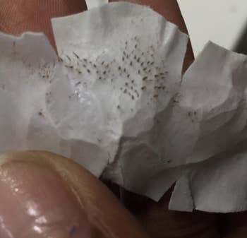 Reviewer photo of used pore strip in hand