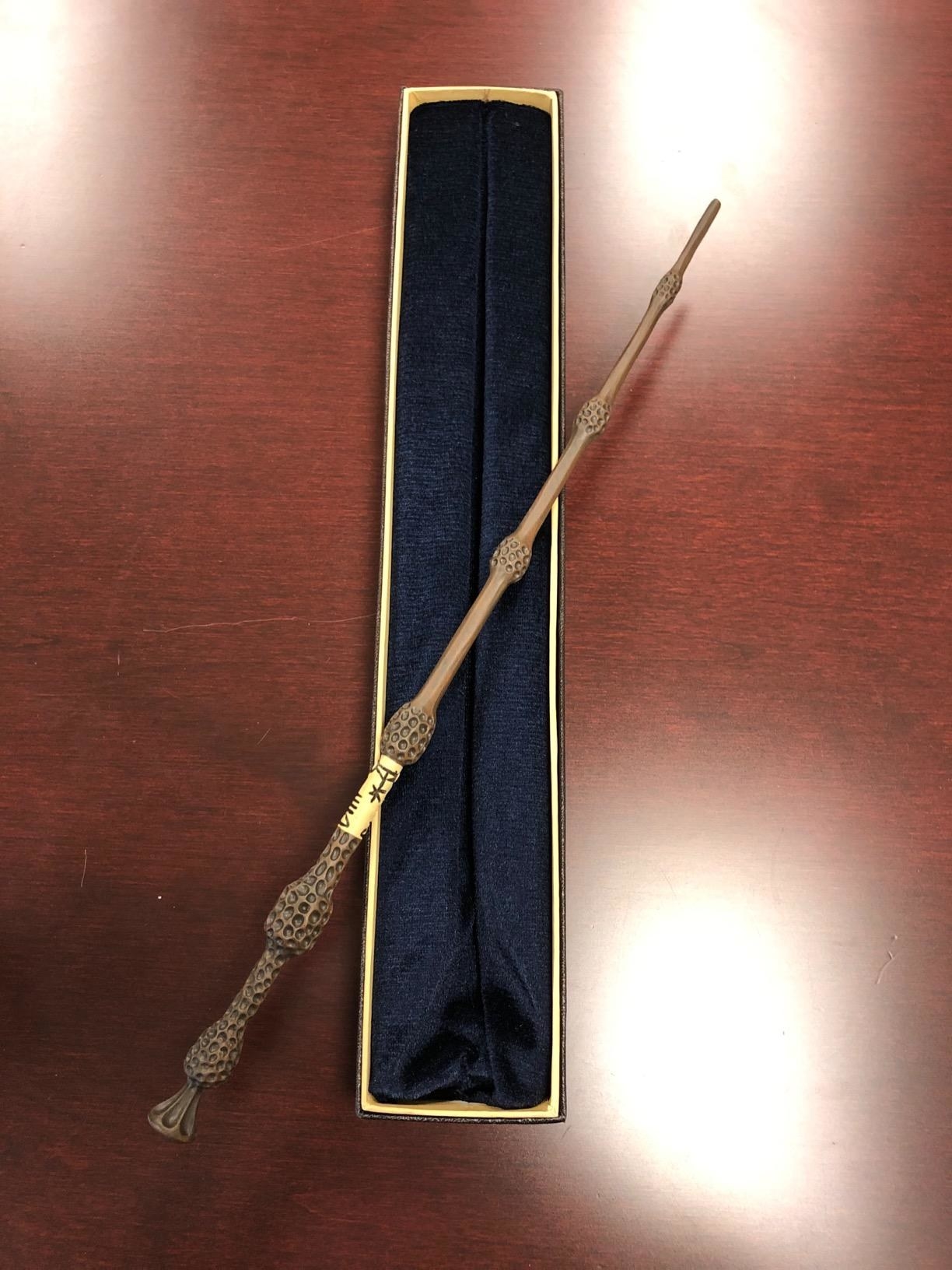 reviewer image of a jimmyfun magic wand and its case
