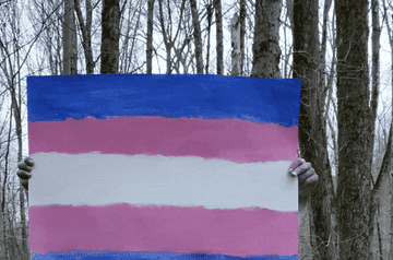 the blue pink and white trans flag being held up in the woods 