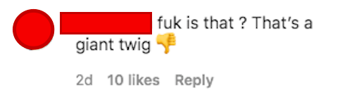 a comment that says  fuck is that that&#x27;s a giant twig