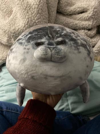 A reviewer holding the seal pillow