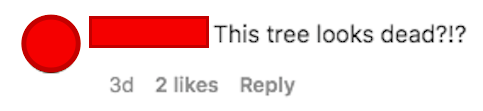 a comment that says this tree looks dead