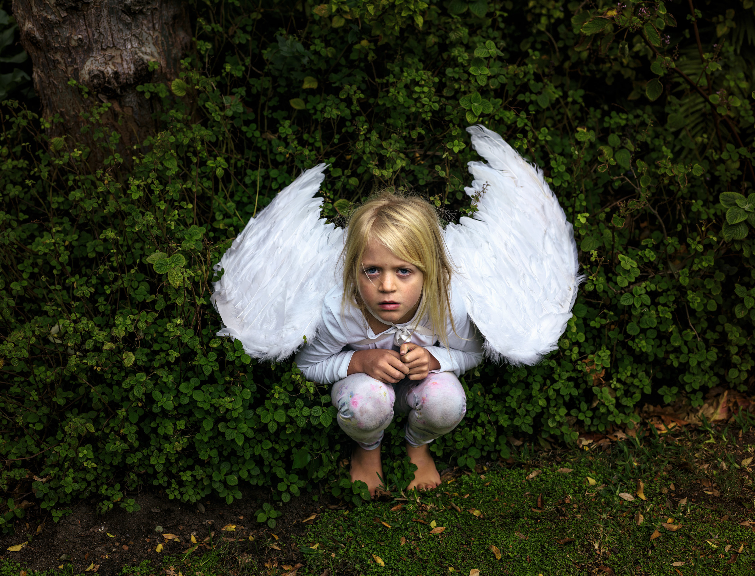 A small child wearing pajamas and angel wings crouching down in from of a hedge