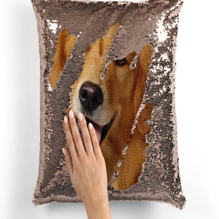 Hand rubbing sequin pillow to reveal picture of gold retriever
