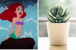 Ariel and a succulent