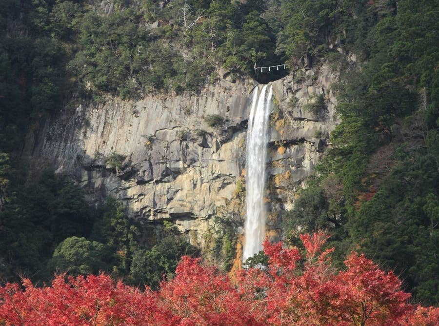 定番 和歌山でぜったいに外さない観光スポット5選とオススメの宿 定番 和歌山でぜったいに外さない観光スポット5選とオススメの宿