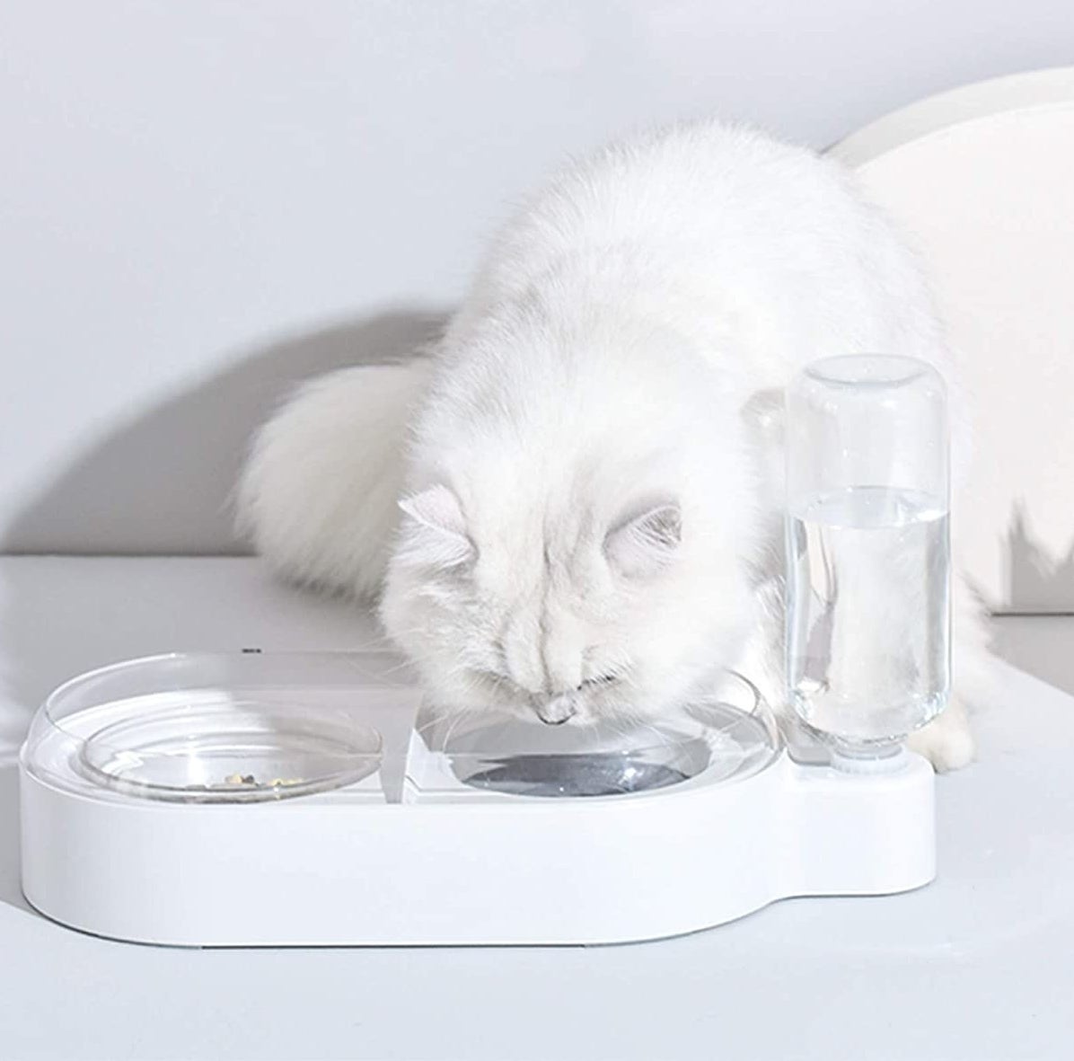 Cat drinks from white double bowl