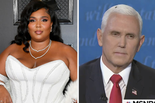 Lizzo on the red carpet next to a picture of the fly on Mike Pence's head