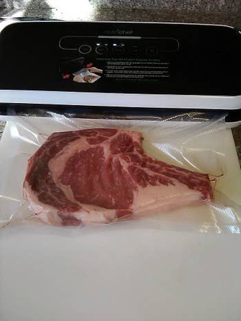 Reviewer uses black vacuum sealer to seal up piece of steak in a clear bag