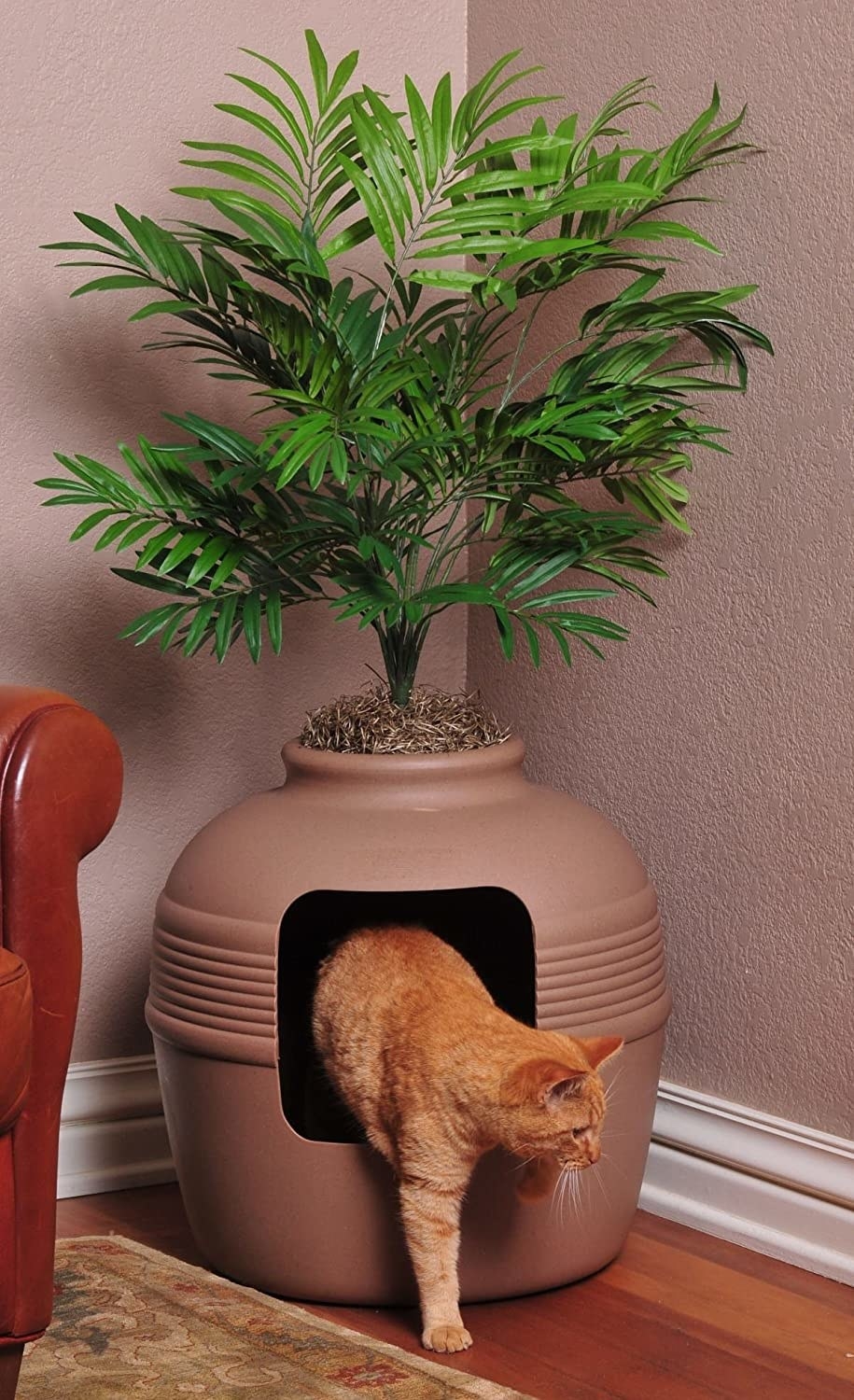 A cat exiting the litter box that looks like a planter