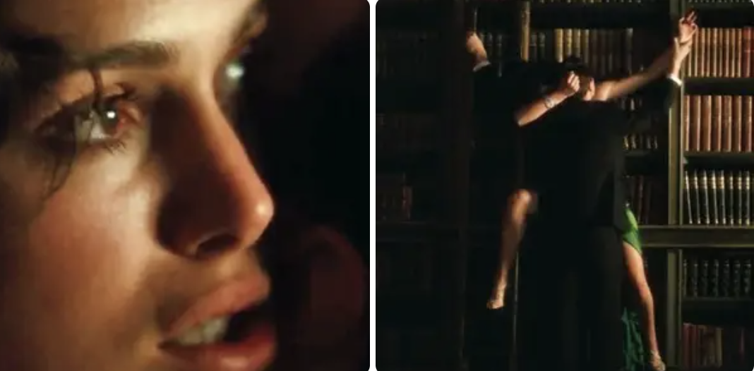 Keira Knightley and James McAvoy making out against the bookcase in &quot;Atonement&quot;