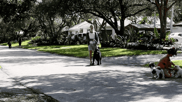Shawn barely hanging on as the biggest dog leads the way